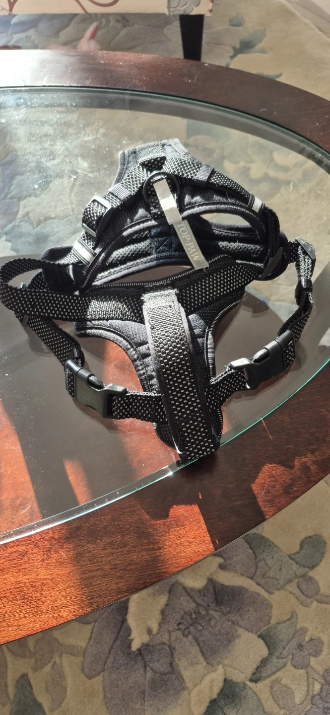 Top Paw Reflective Comfort Dog Harness - Large