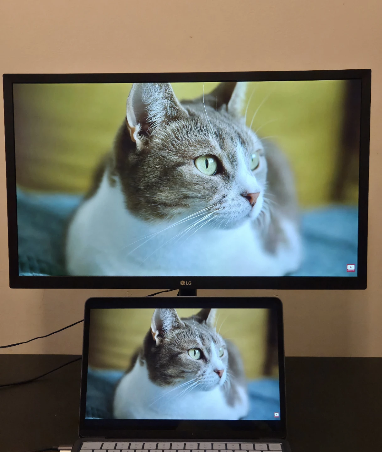 LG Monitor 24" 1080p - photo 4