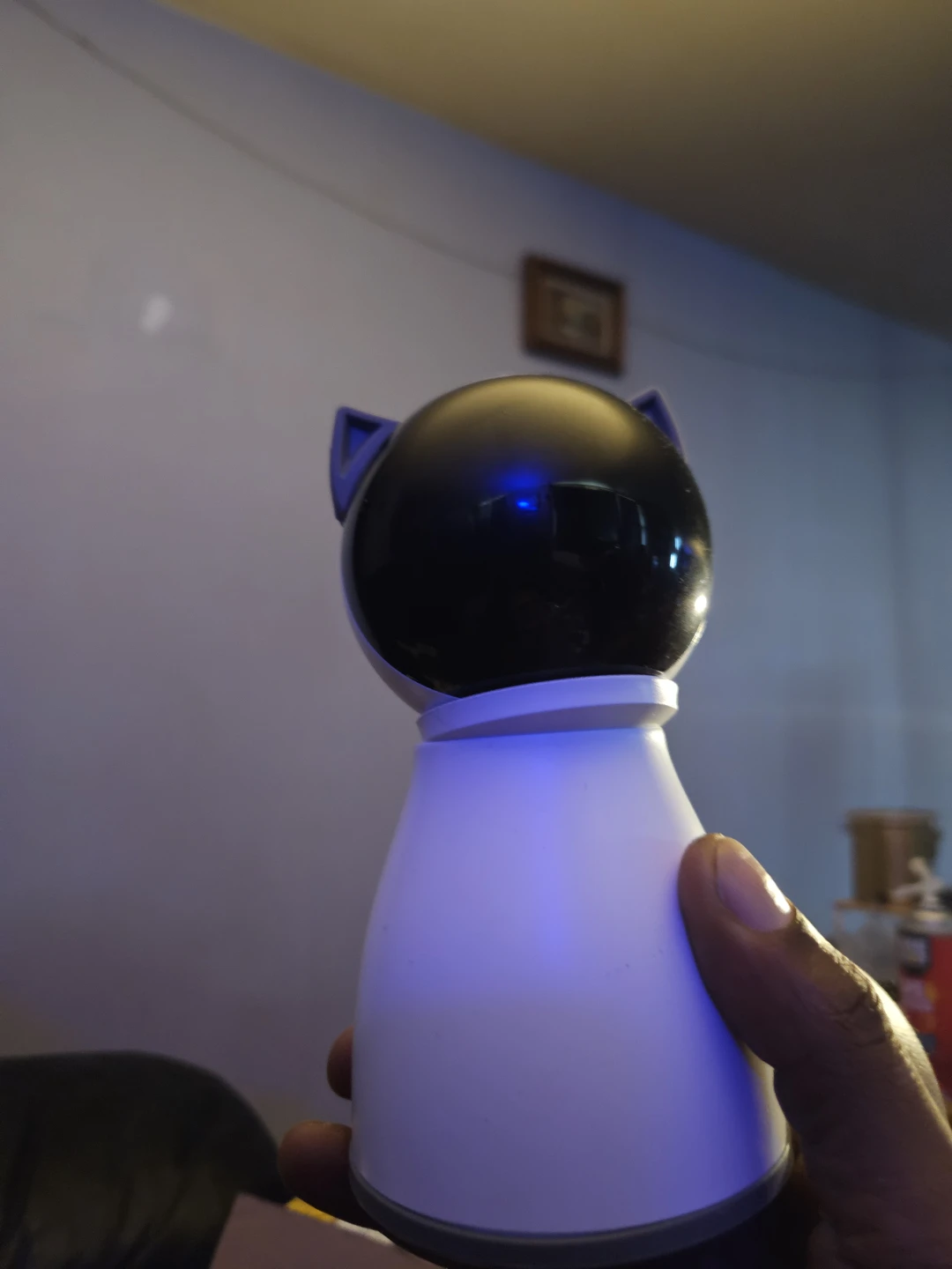 Auto cat laser toy
