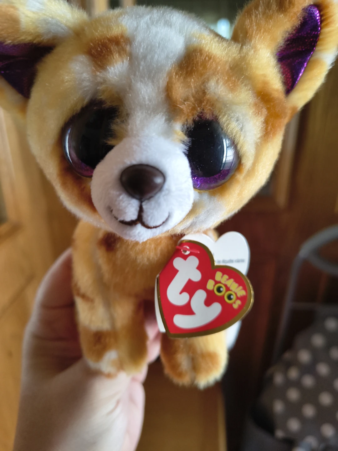 Ty Beanie Boo's Pablo Plush Dog
