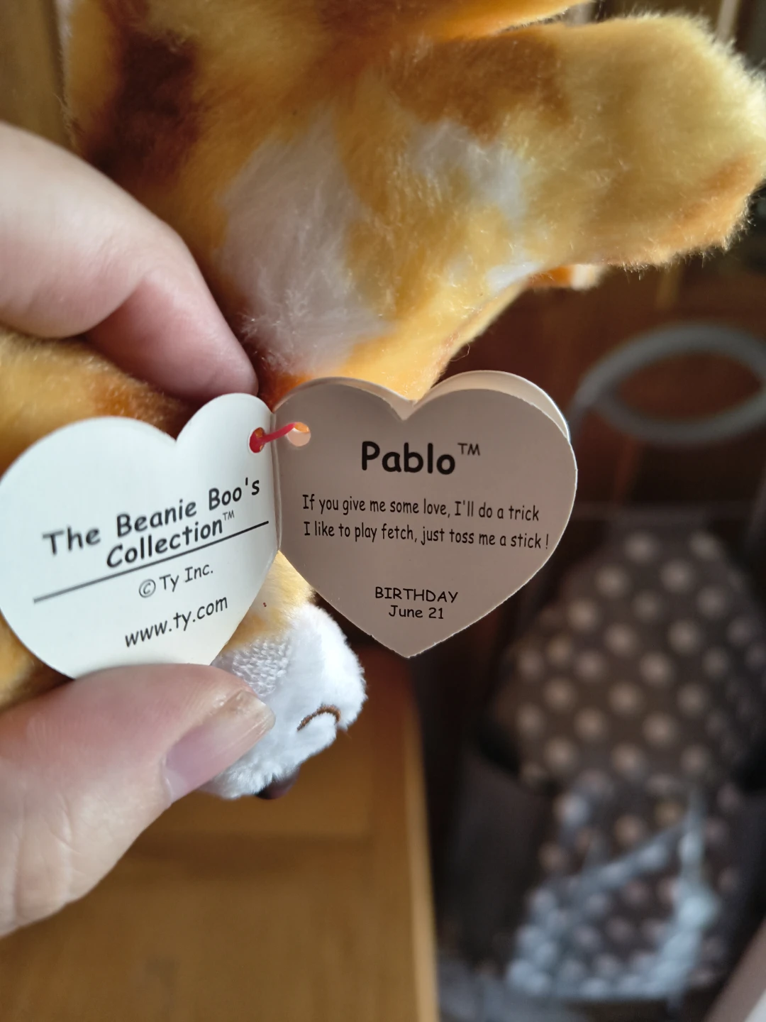 Ty Beanie Boo's Pablo Plush Dog - photo 4