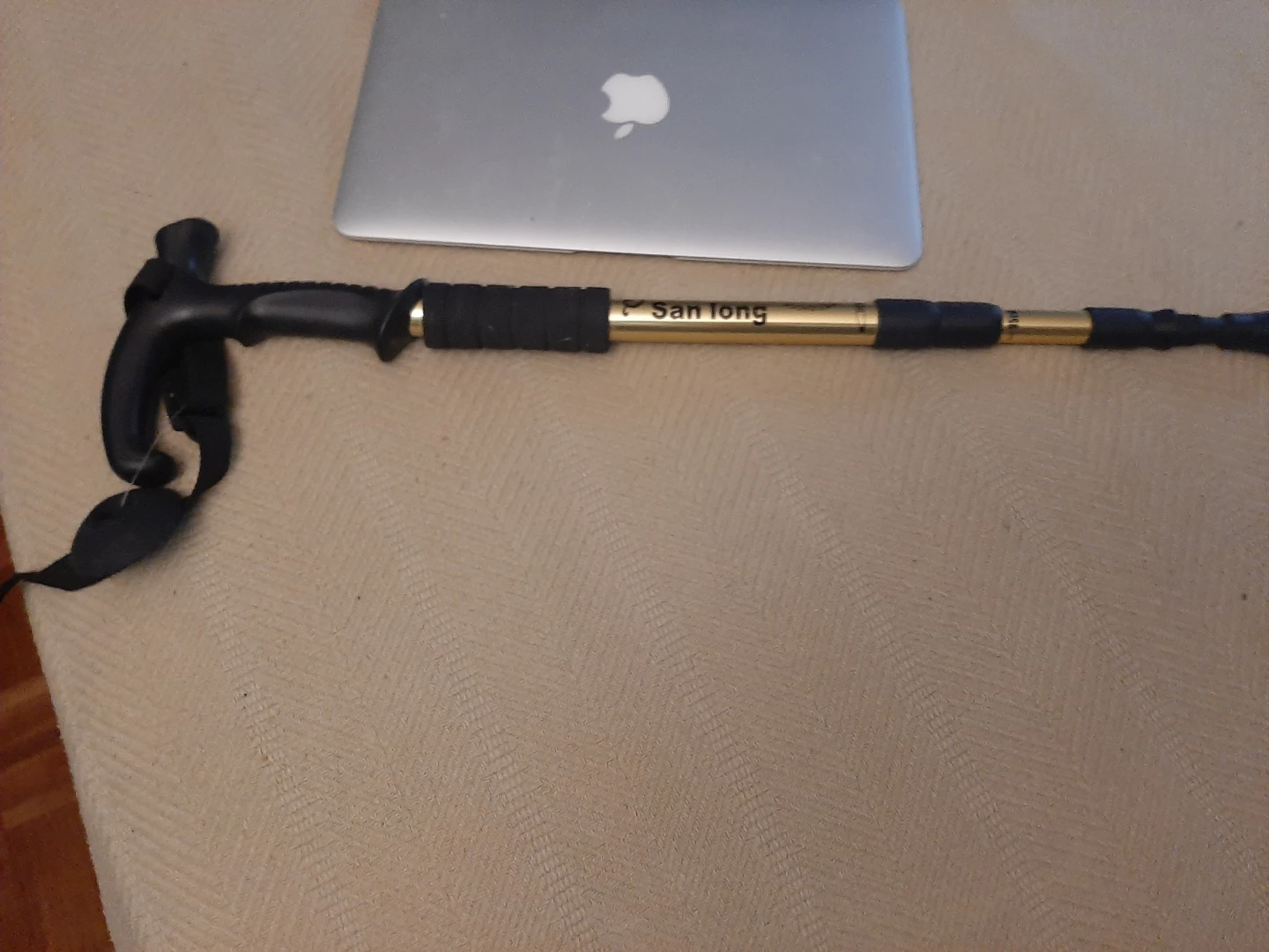 Walking stick