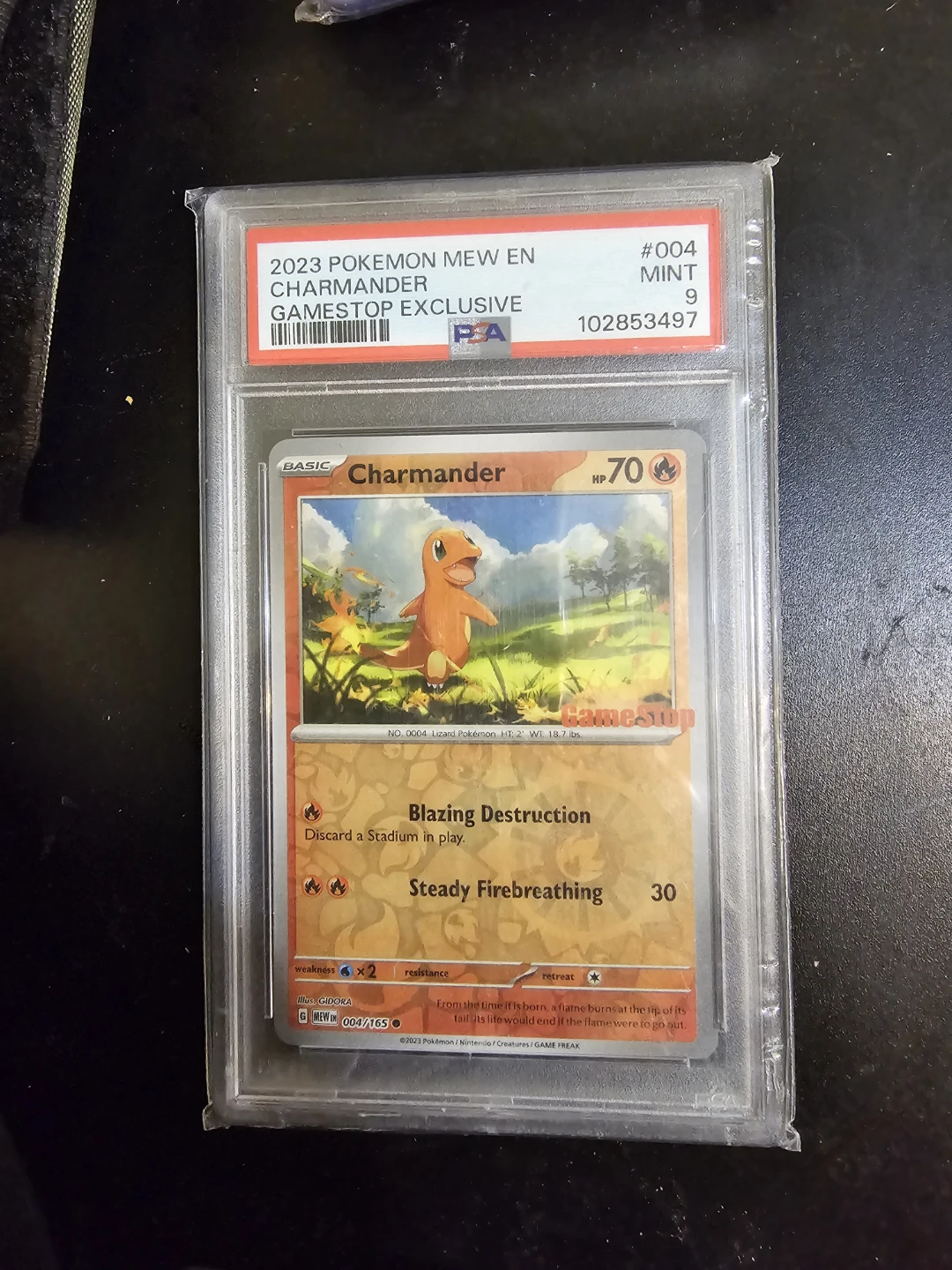 2023 Pokemon Mew En Charmander Pokémon