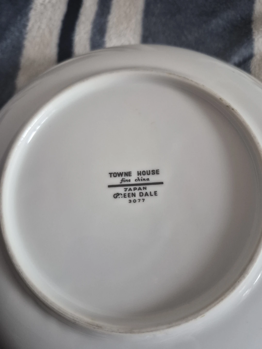Towne House Green Dale Fine China Plate