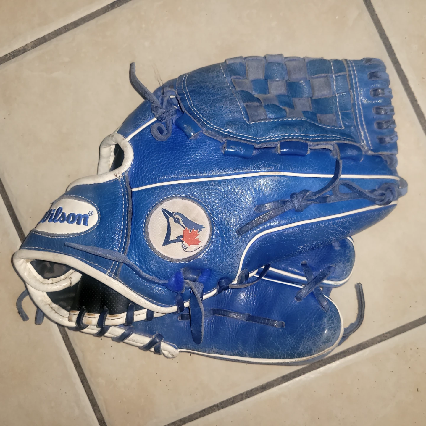 Wilson A500 Blue Baseball Glove