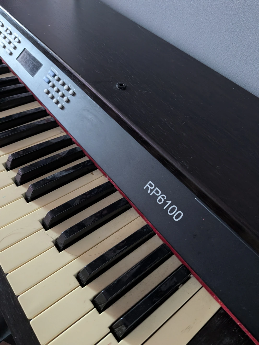 Robson RP6100 Digital Piano - photo 3