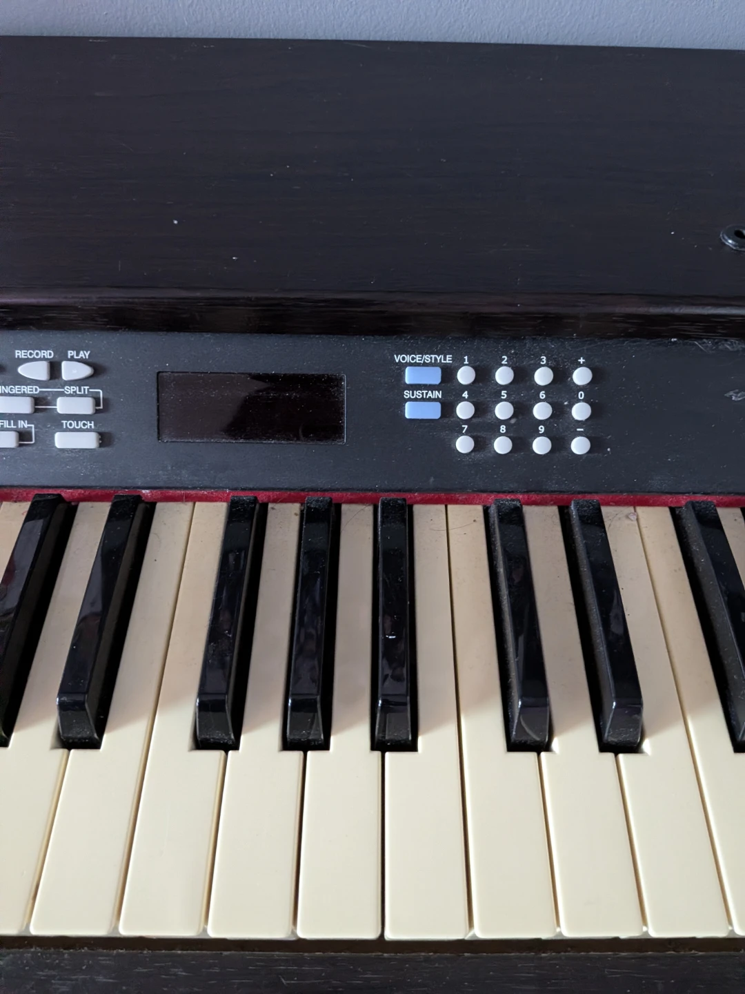 Robson RP6100 Digital Piano - photo 5