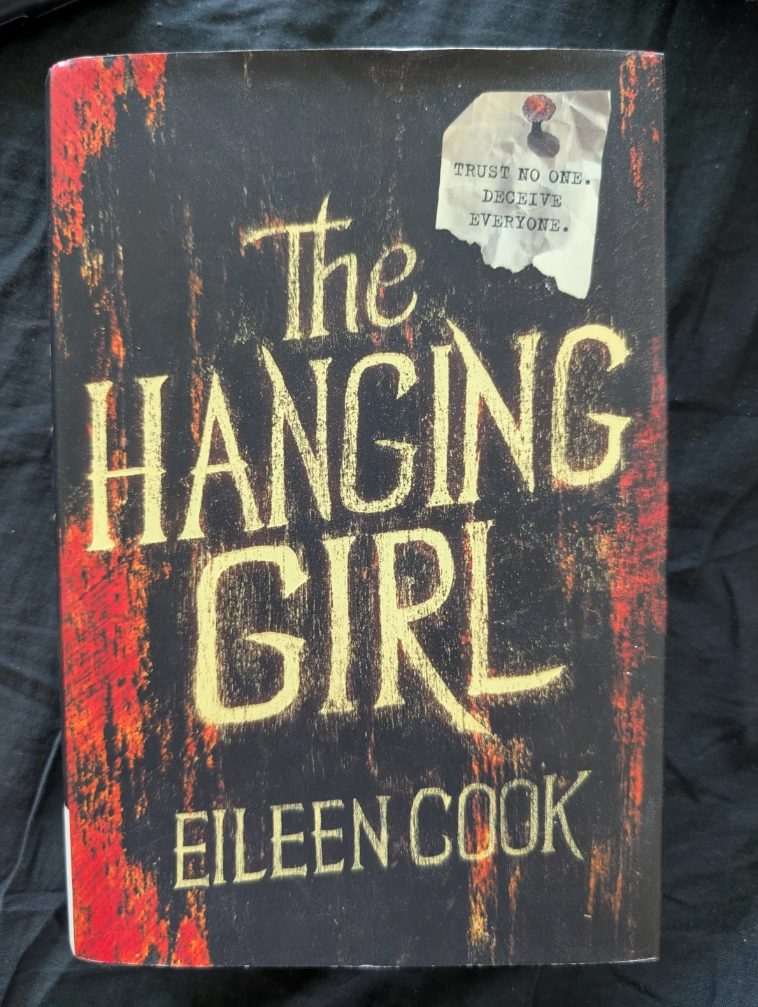 The Hanging Girl by Eileen Cook Novel