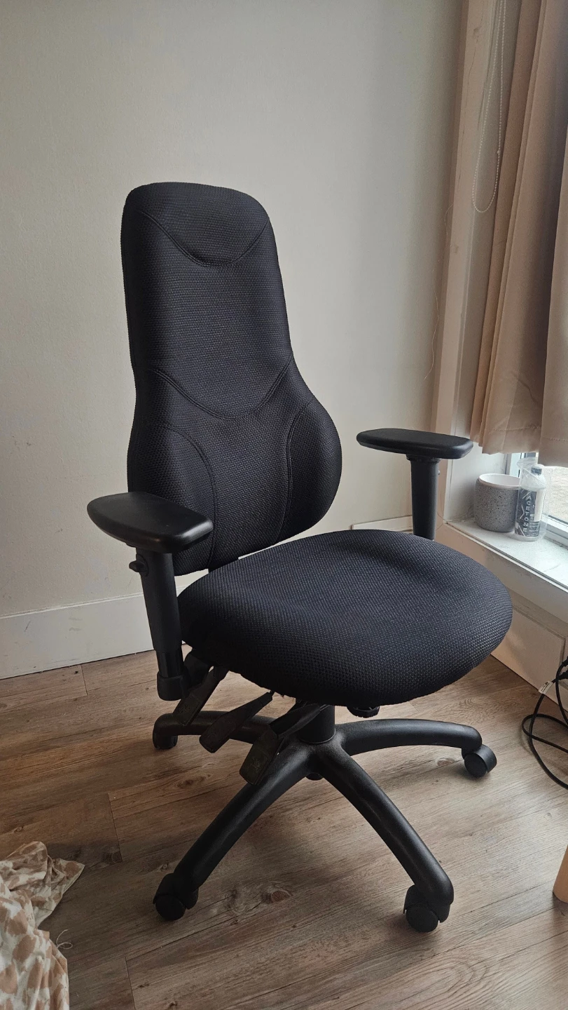 Global Tritek Ergo Select Ergonomic Office Chair – Like New