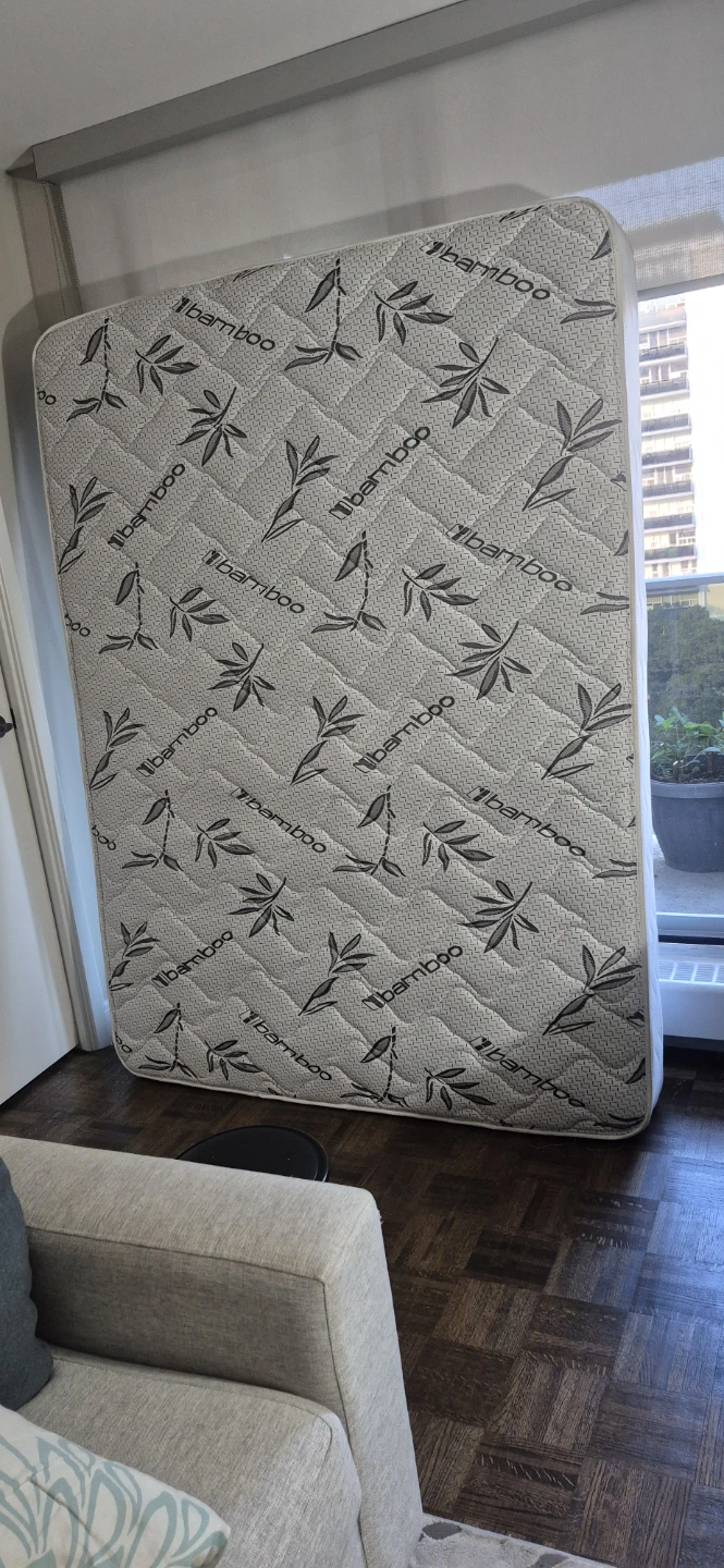10" Queen Matress (FREE)
