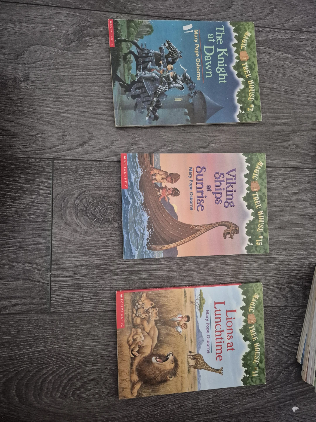 Magic Tree House Books