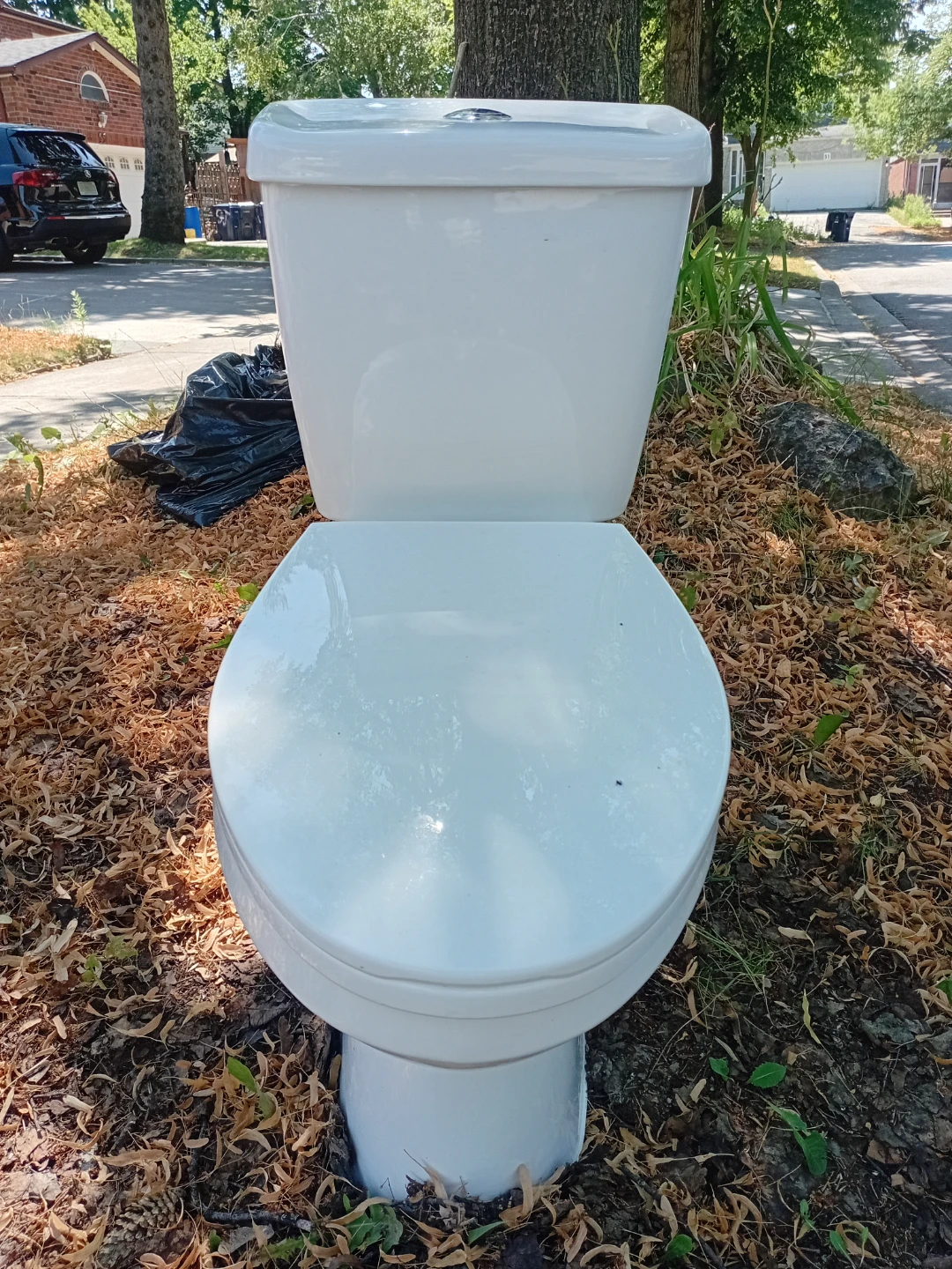 White Toilet Bowl