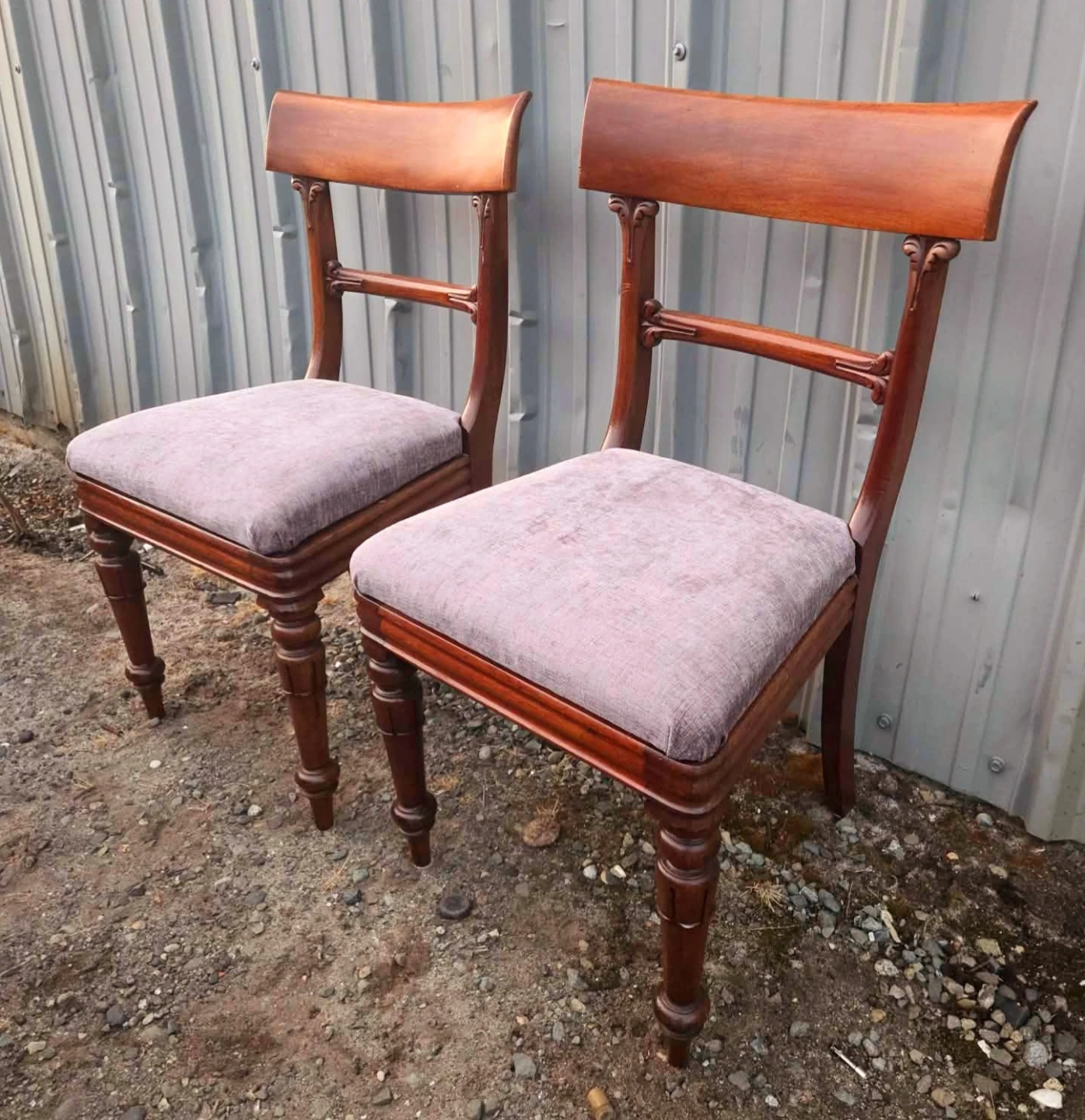 6 Antique Walnut Horsehoe Dining Chairs With New Fabric Seats