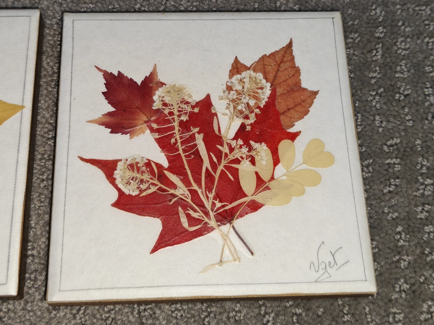 2 Canadian Hand Pressed Preserved Flower Wall Art VGET Originals - photo 4
