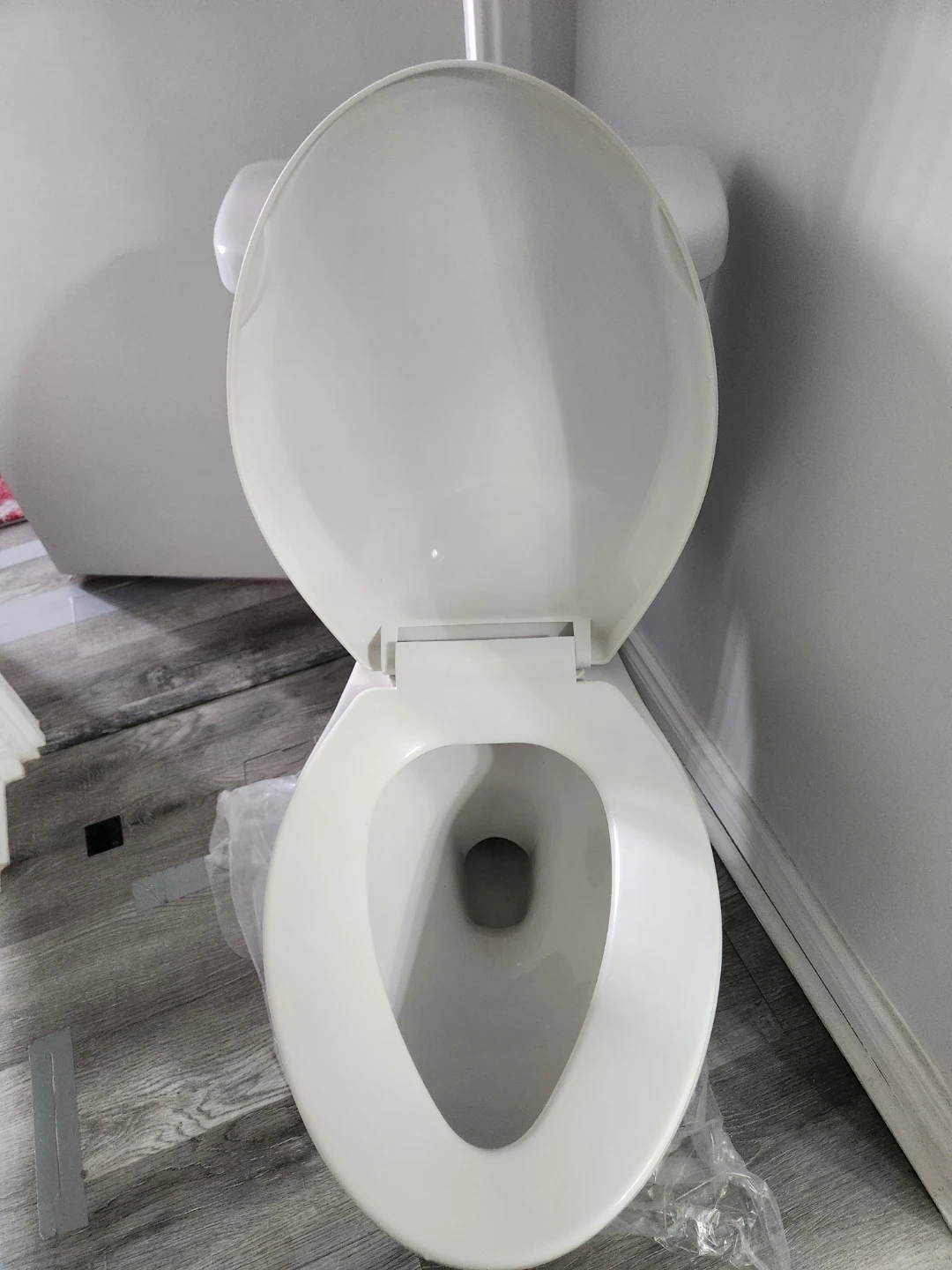 WaterRidge Toilet - photo 4