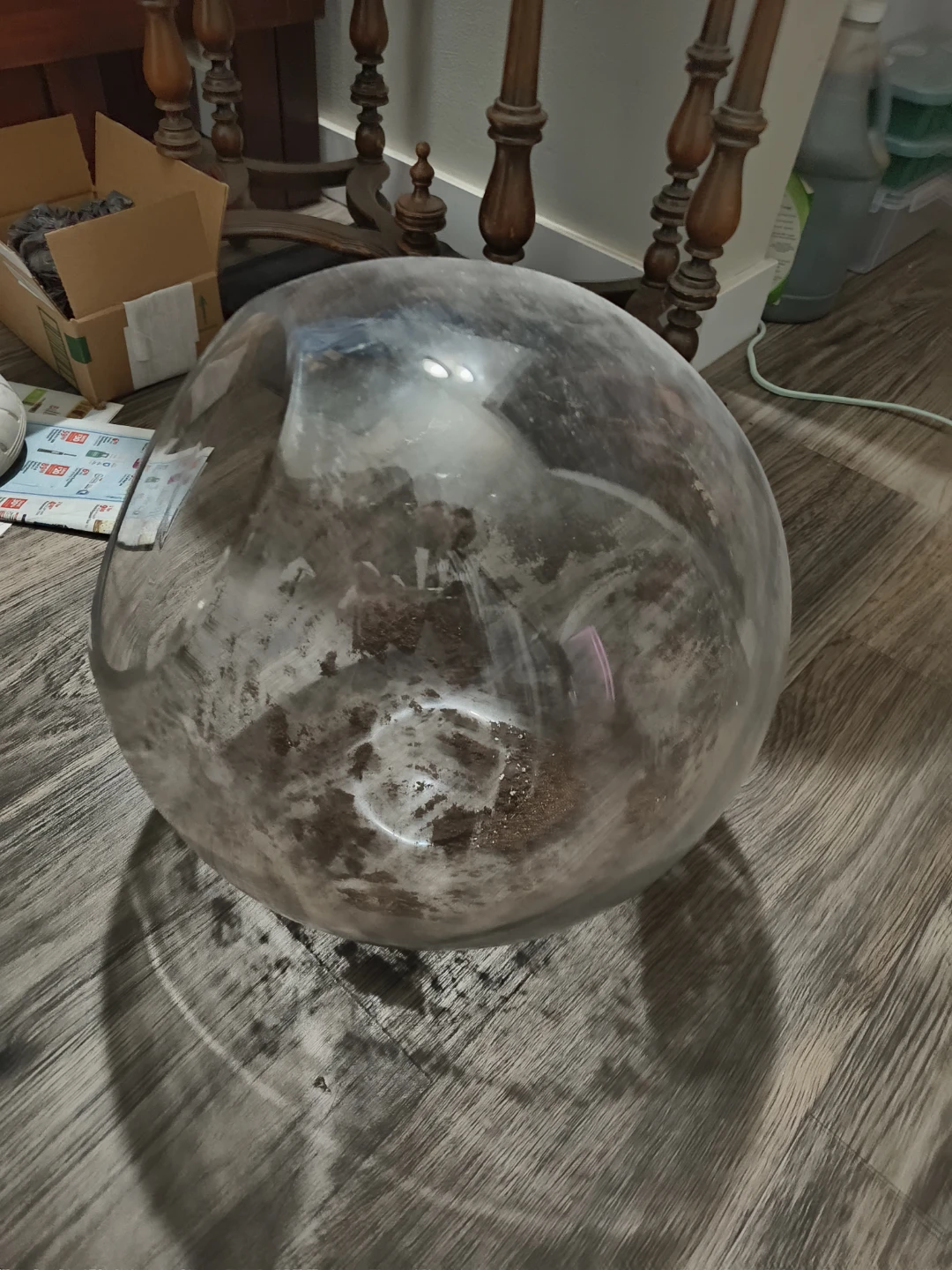 Glass Terrarium Bowl - photo 2