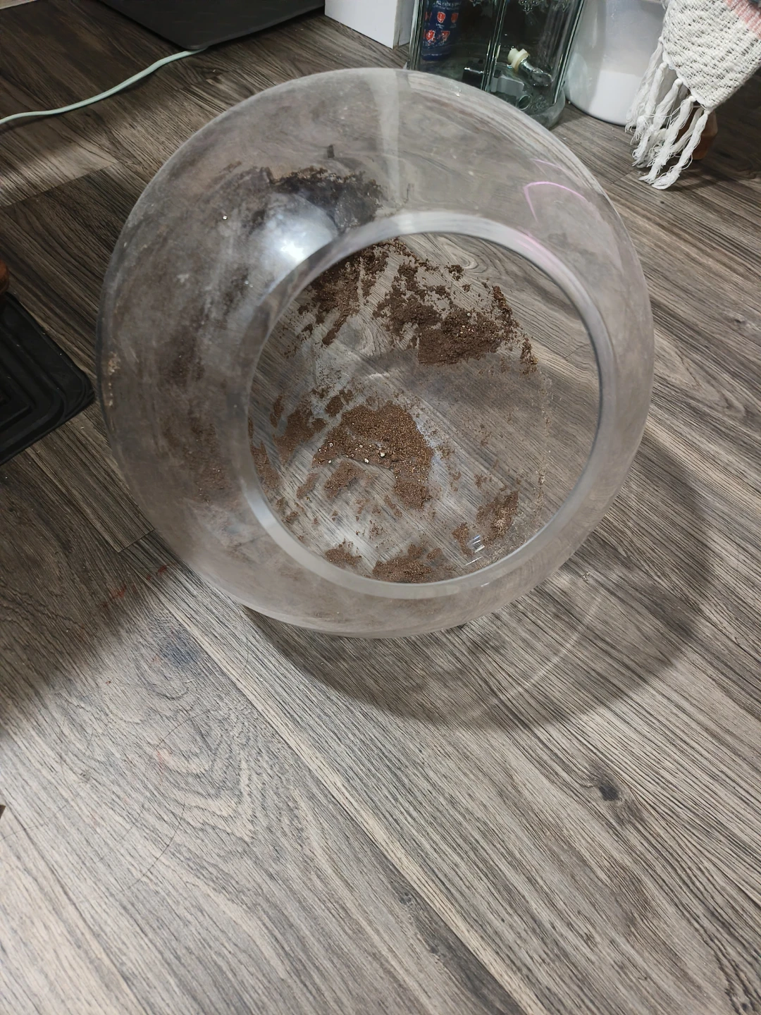 Glass Terrarium Bowl - photo 3
