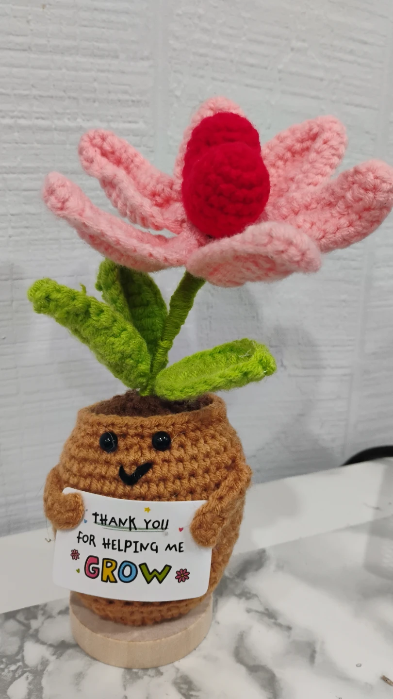 Handmade Crocheted Flower Pot