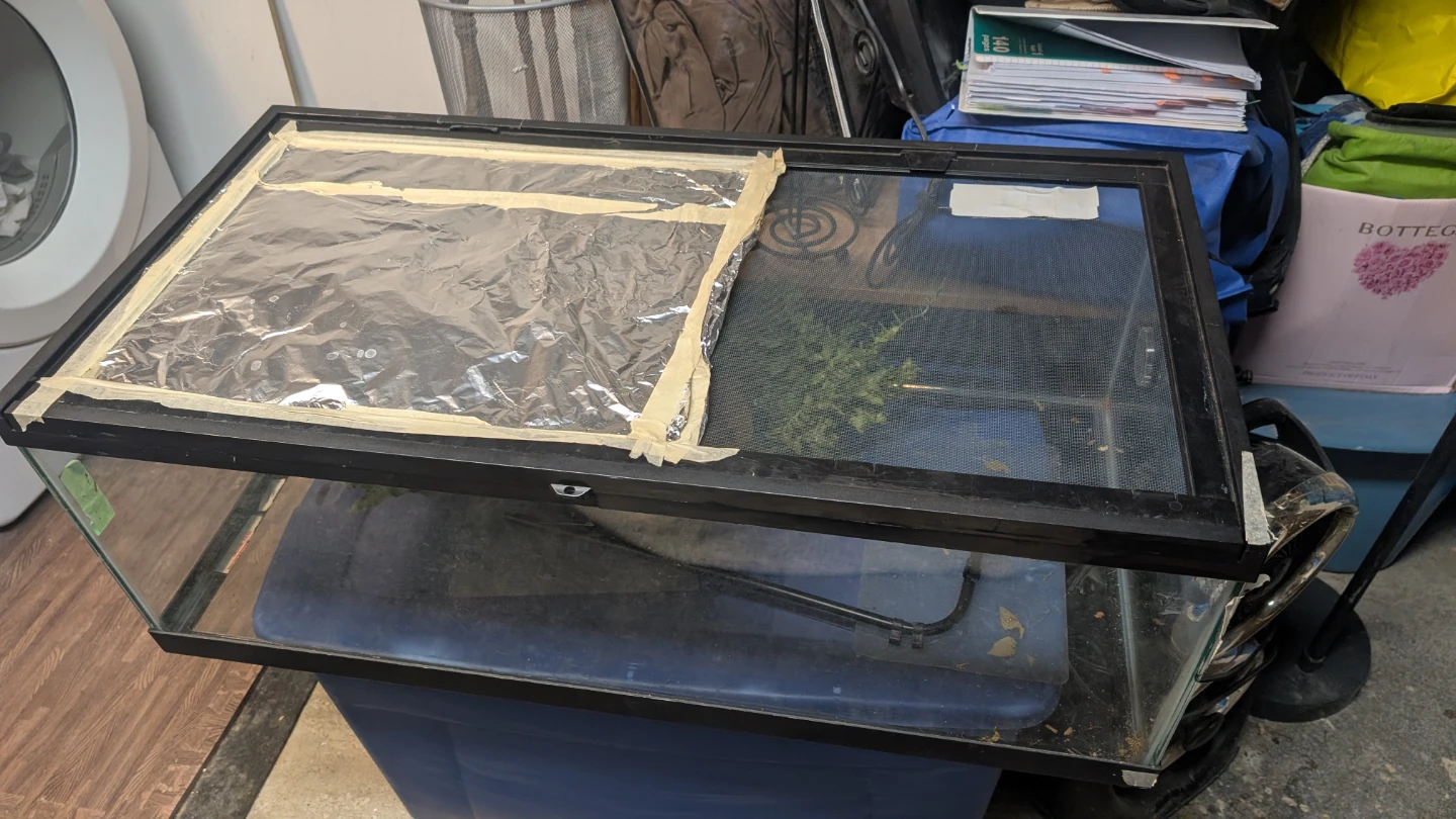 Terrarium For Sale