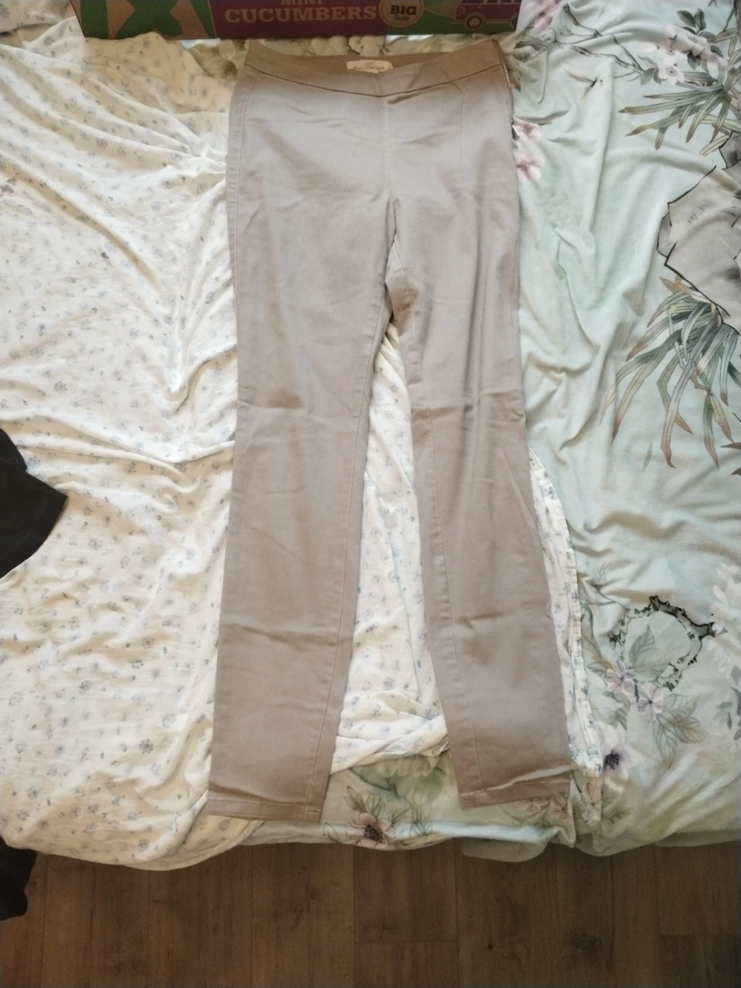 TAHARI Women's Pants Size 12 Tan
