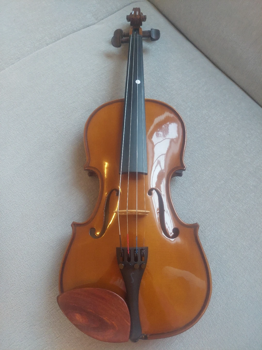 Stentor Violin with carrying case and accessories
