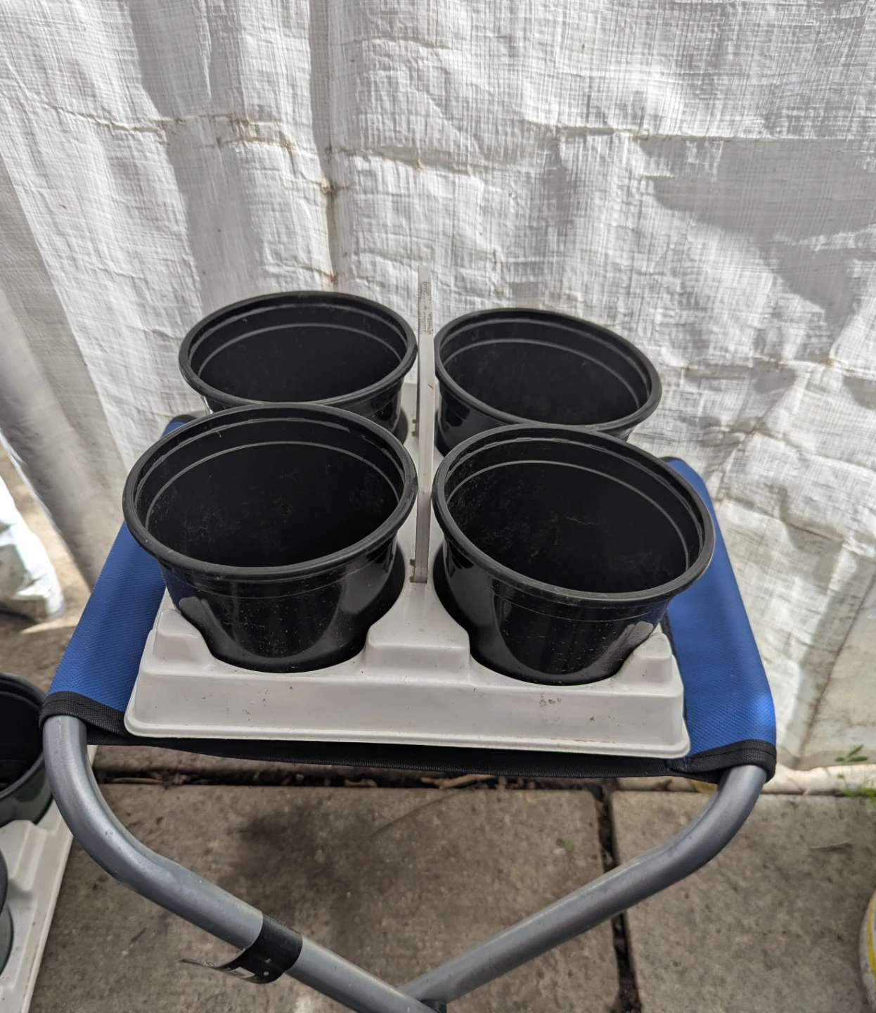 4" Pots with carrying tray