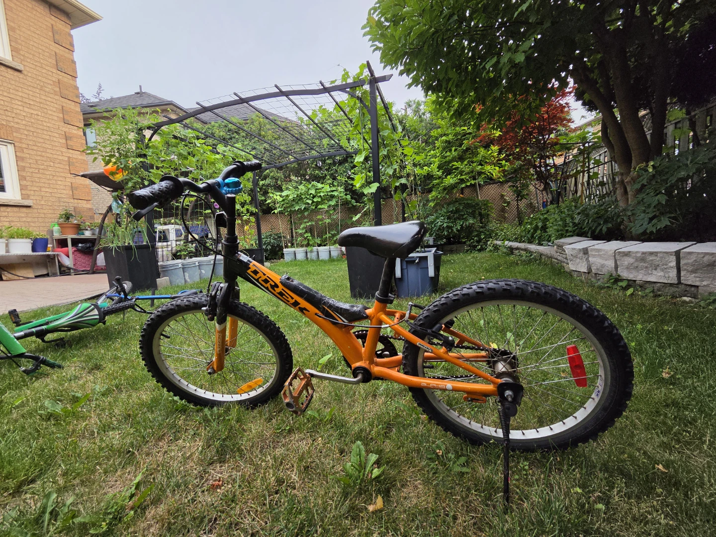 Trek Kids Bike