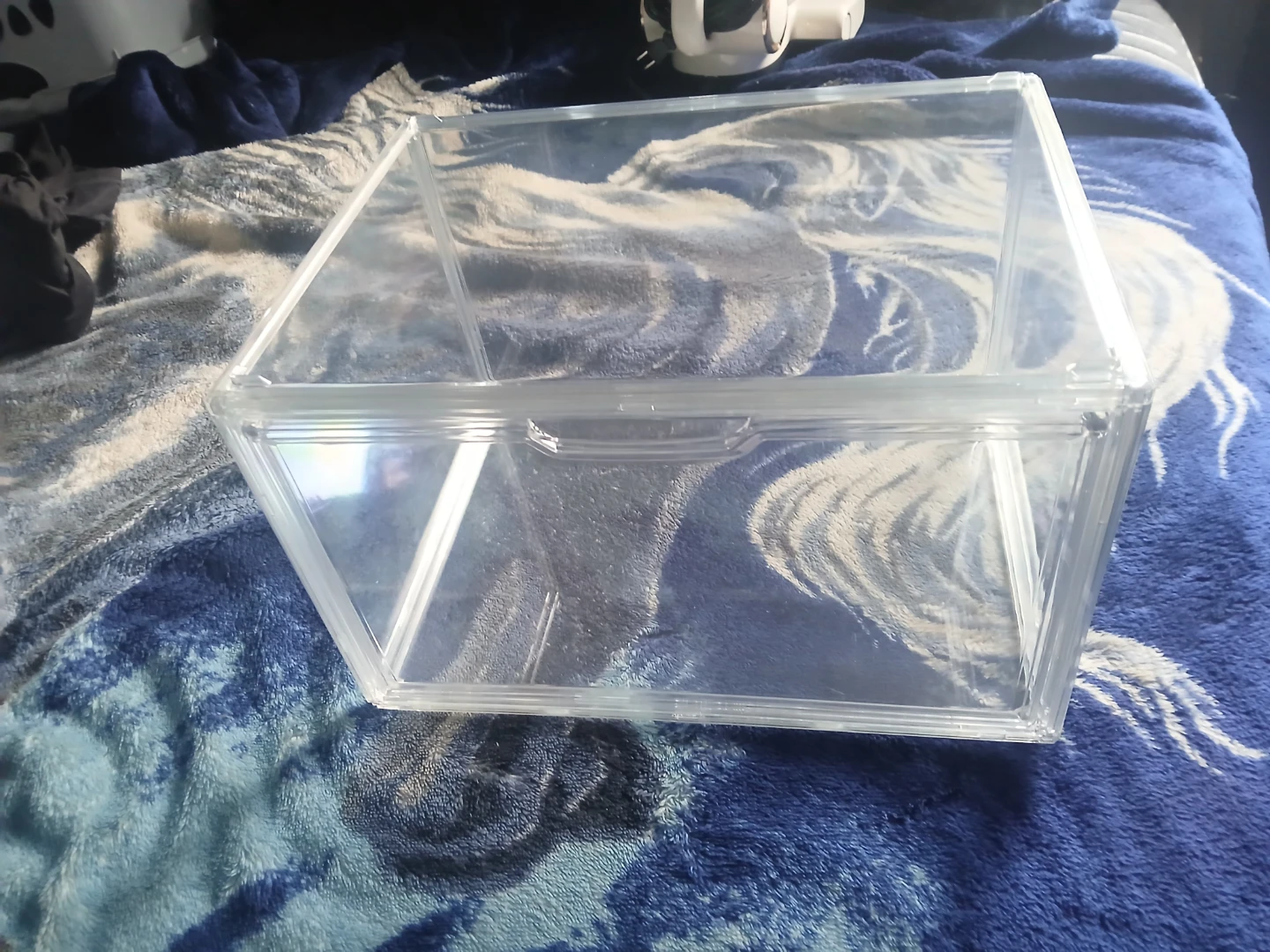 Clear Plastic Storage Box