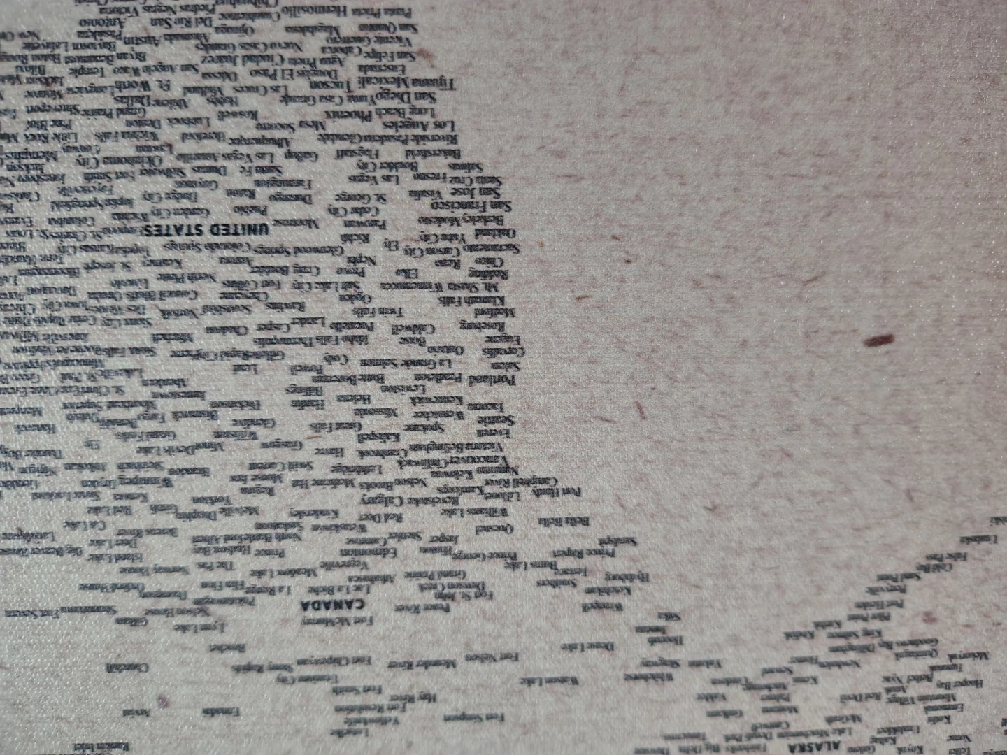 Map Canvas Print - World Capitals - photo 2