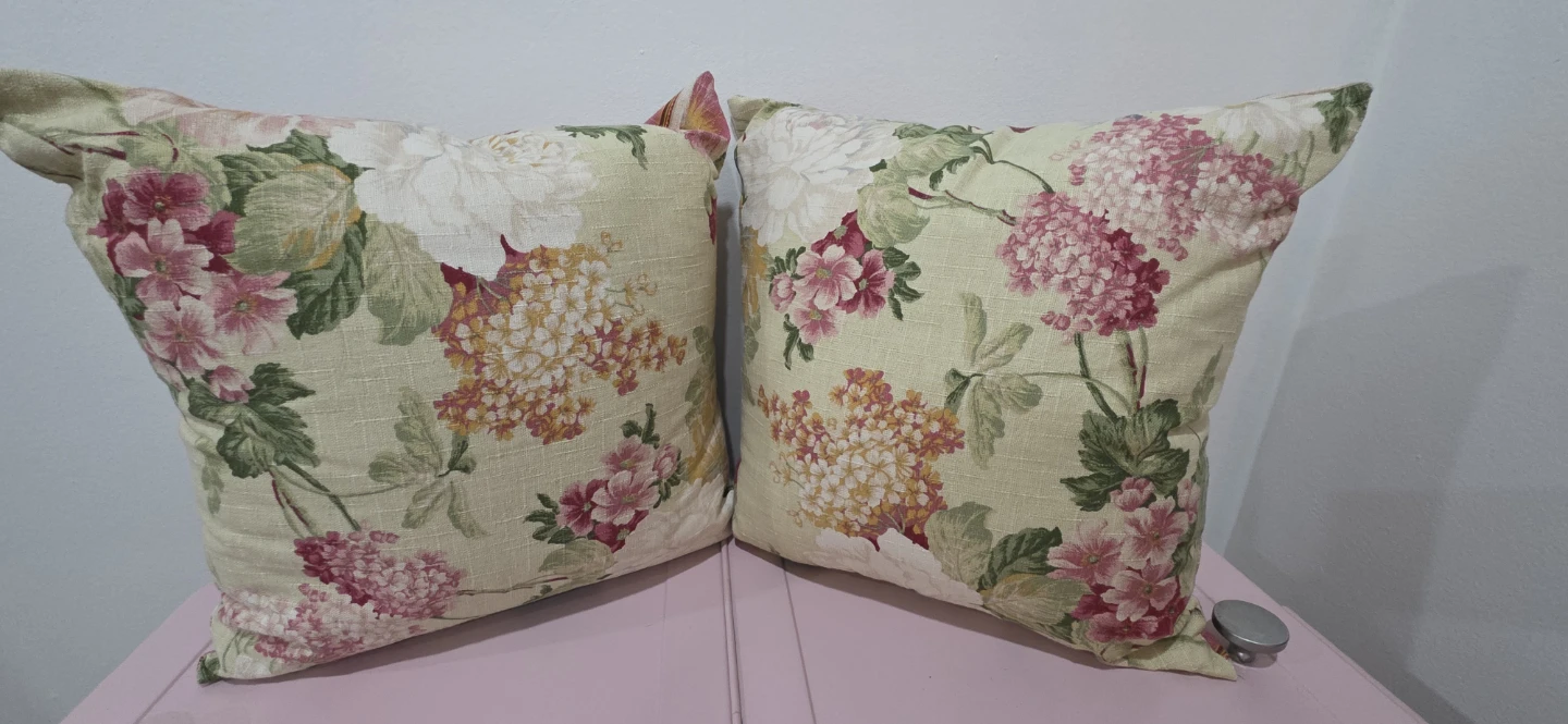 Set of 2 Throw Pillows