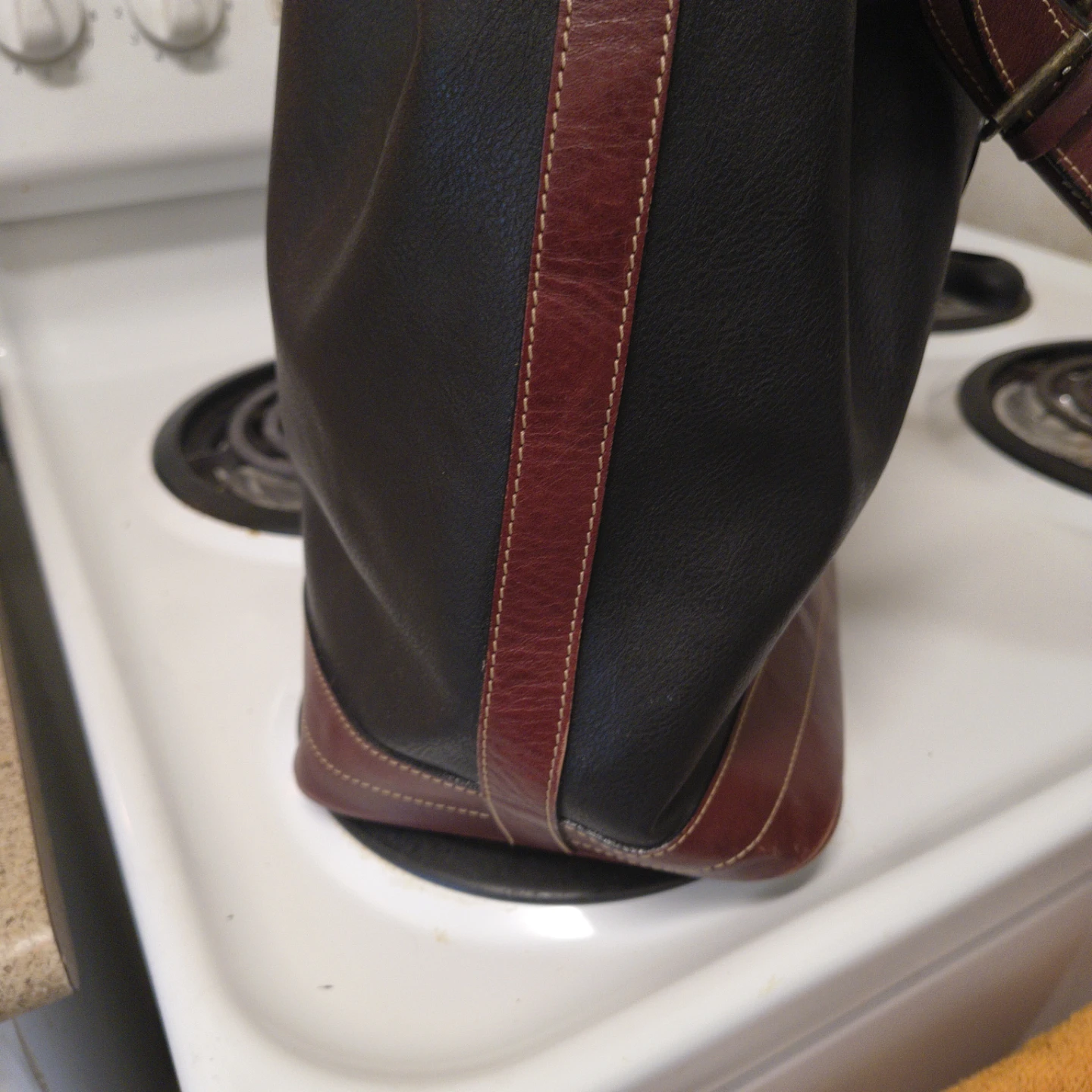 Delane Canada Leather Bucket Bag - photo 3