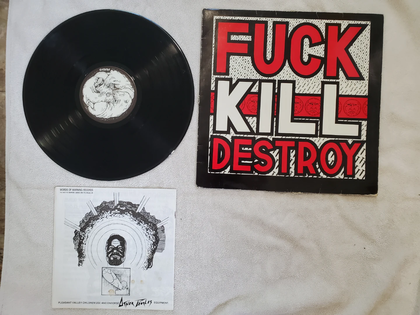 Pleasant Valley Children "F.K.D." Vinyl Record - photo 2