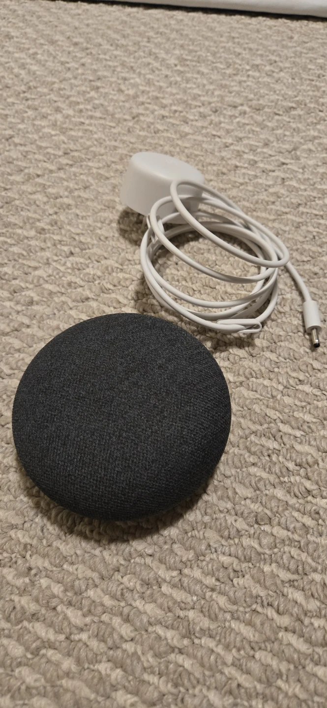 2 Google Nest Mini Smart Speaker $20 each