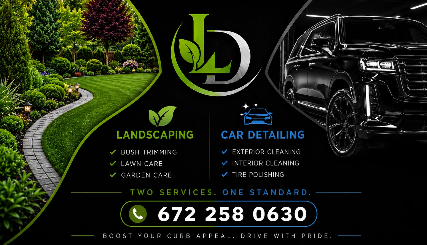 Professional landscaping and Car Detailing Services