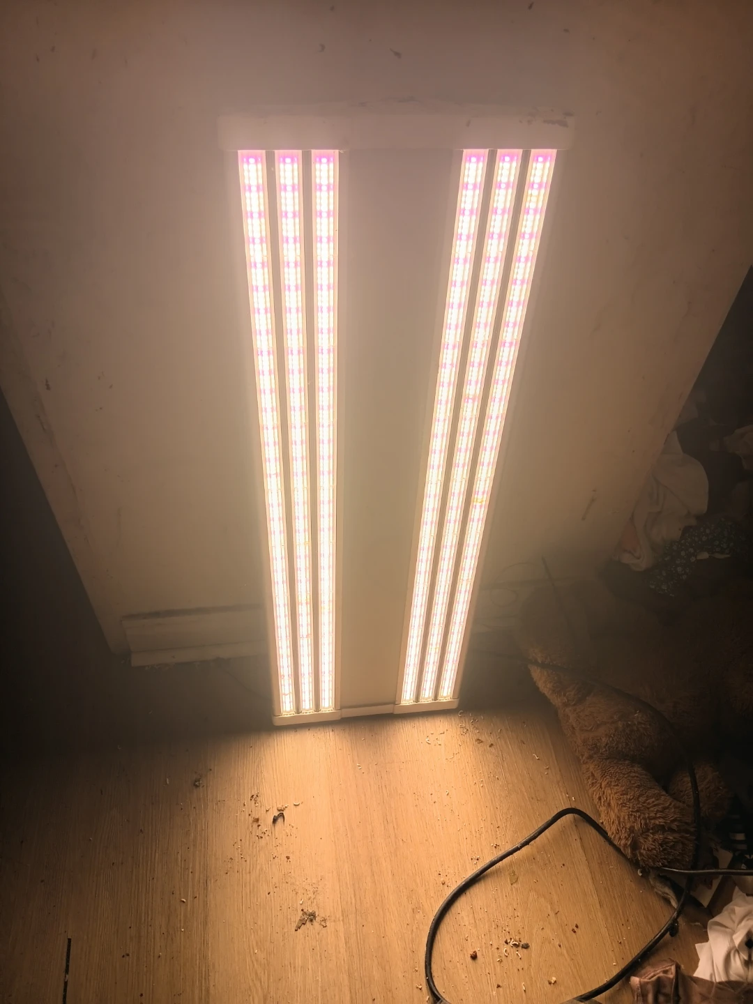 Electric sky 300 v3
