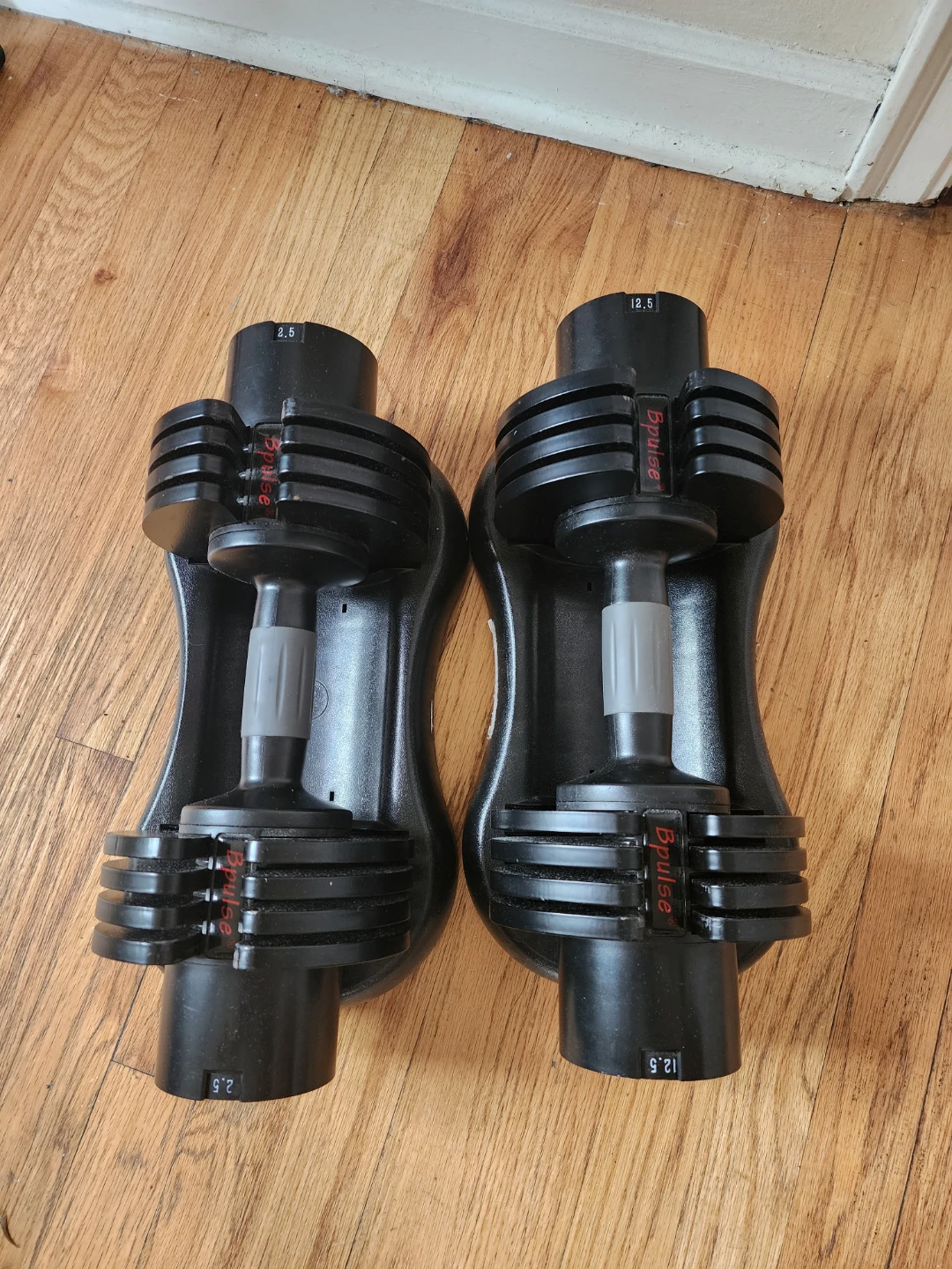 Adjustable Dumbbells
