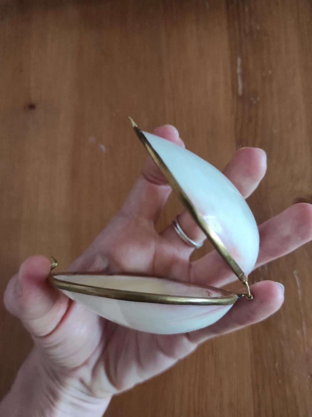 Sea shell container - photo 3