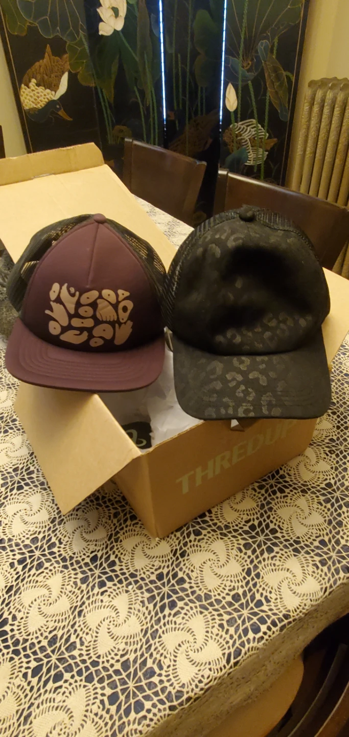 2 Baseball Caps - Prana and Mountain Hardwear - photo 2