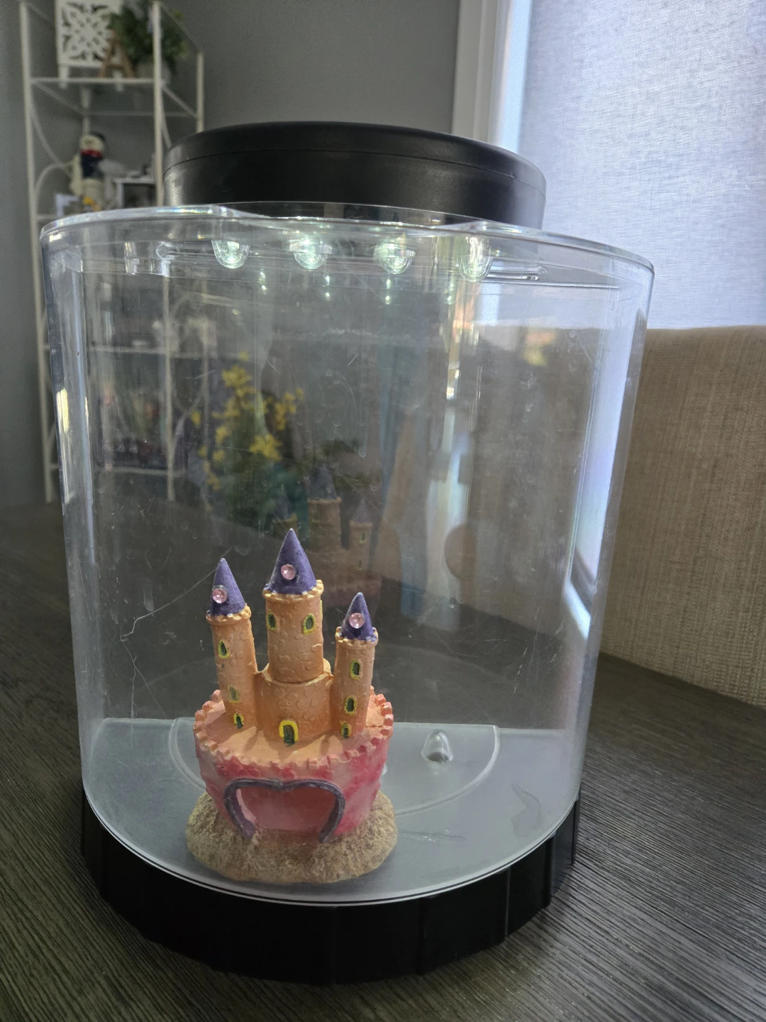 1 L starter fish tank