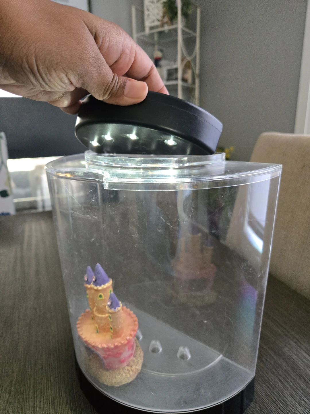 1 L starter fish tank - photo 2