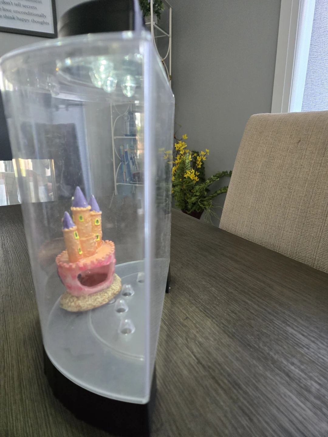 1 L starter fish tank - photo 3