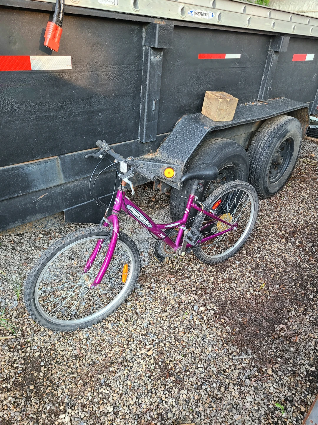 Purple Mountain Bike