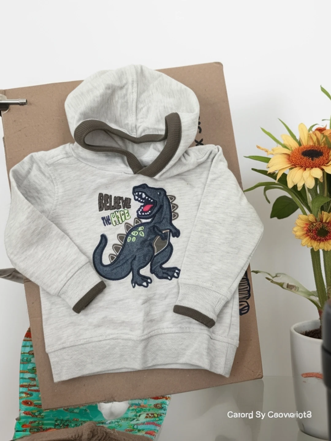 Boys' Grey Dinosaur Hoodie