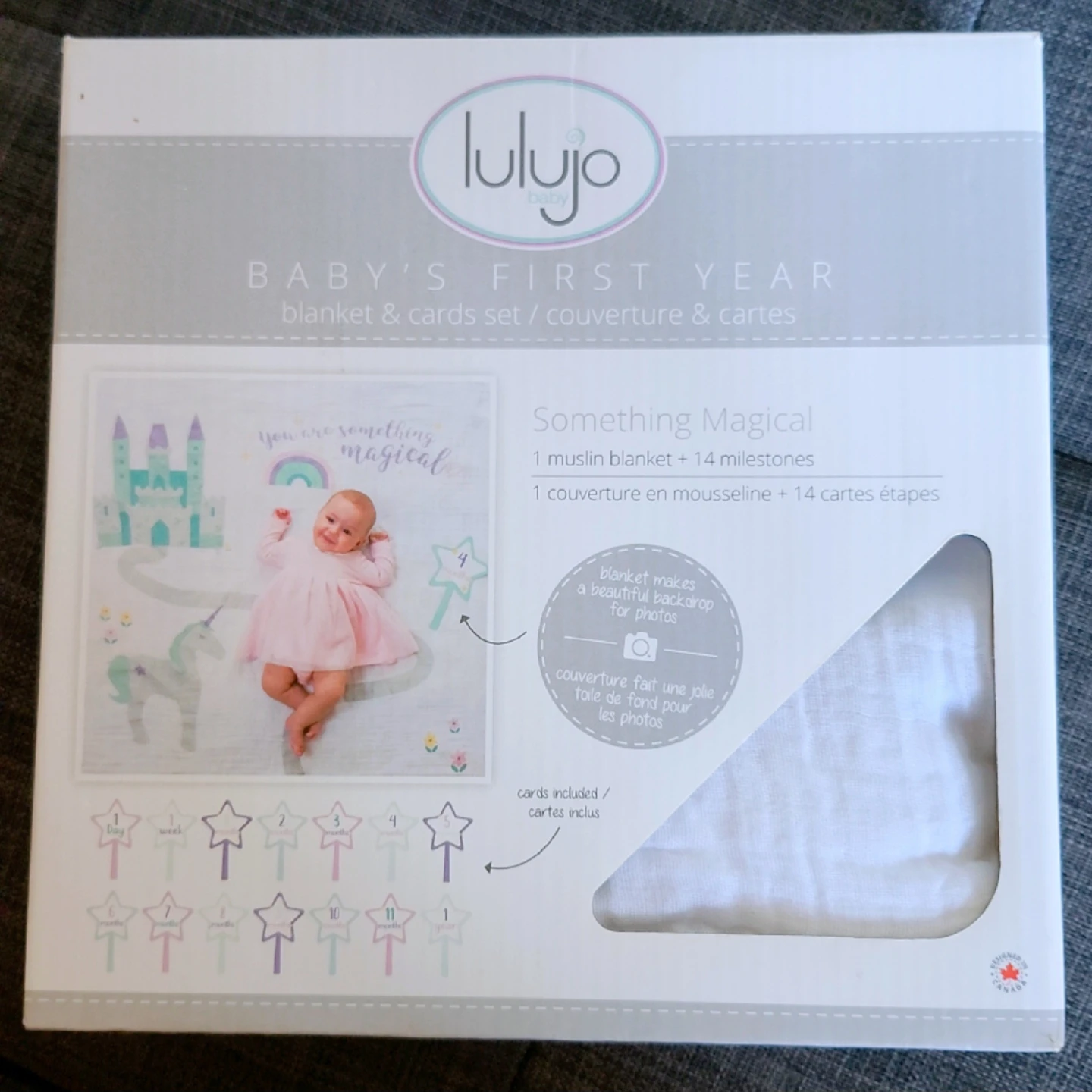 Baby's First year milestone cards and blanket