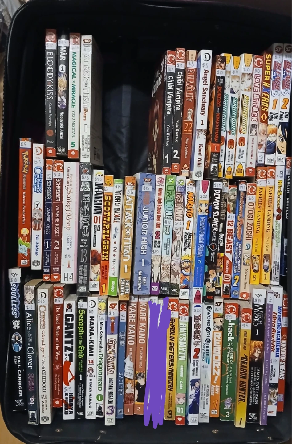 Manga and Anime Book Collection