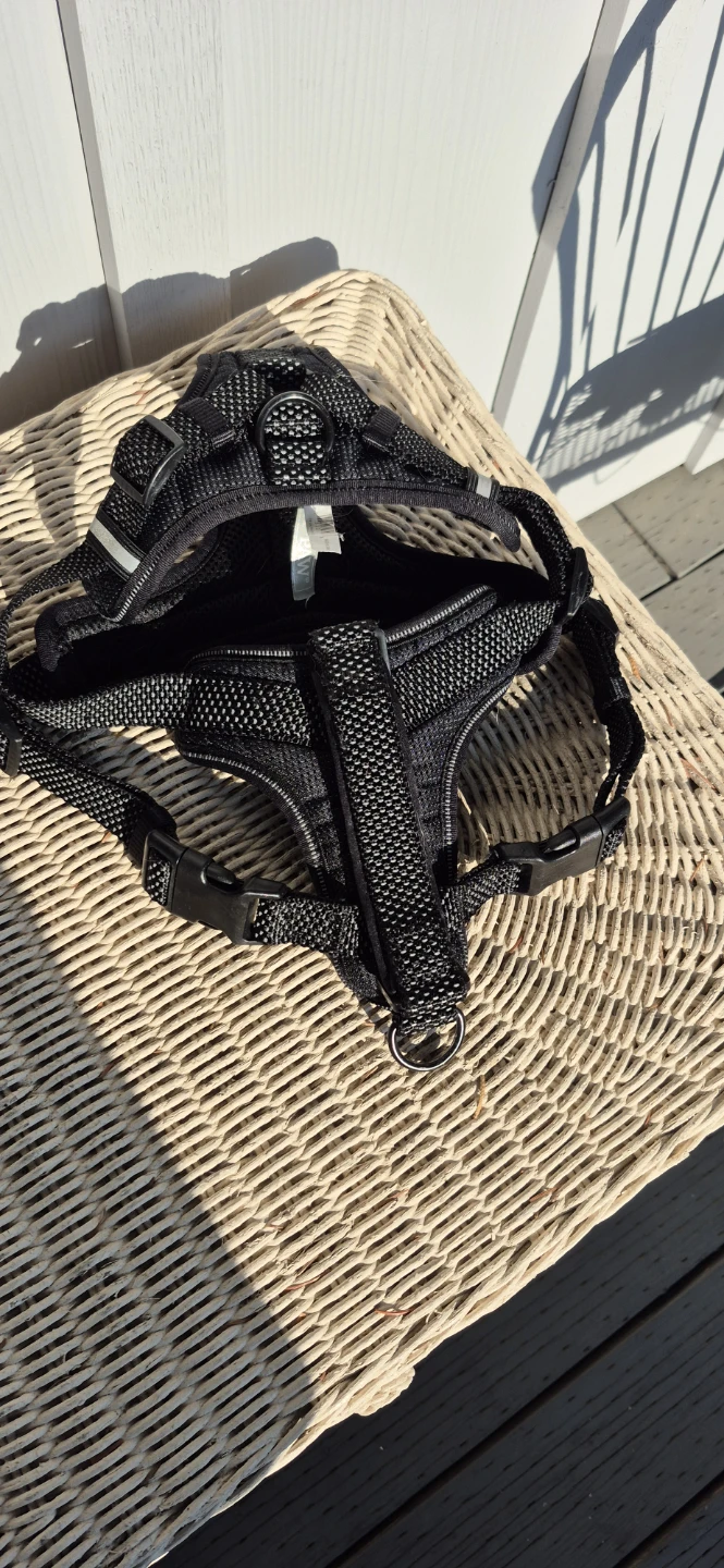 Top Paw Reflective Comfort Dog Harness - Large - photo 3