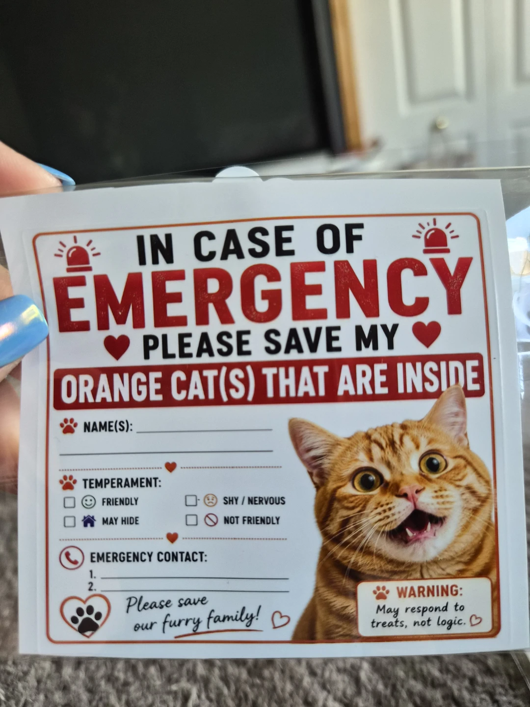 In Case of Emergency Orange Cat Sticker