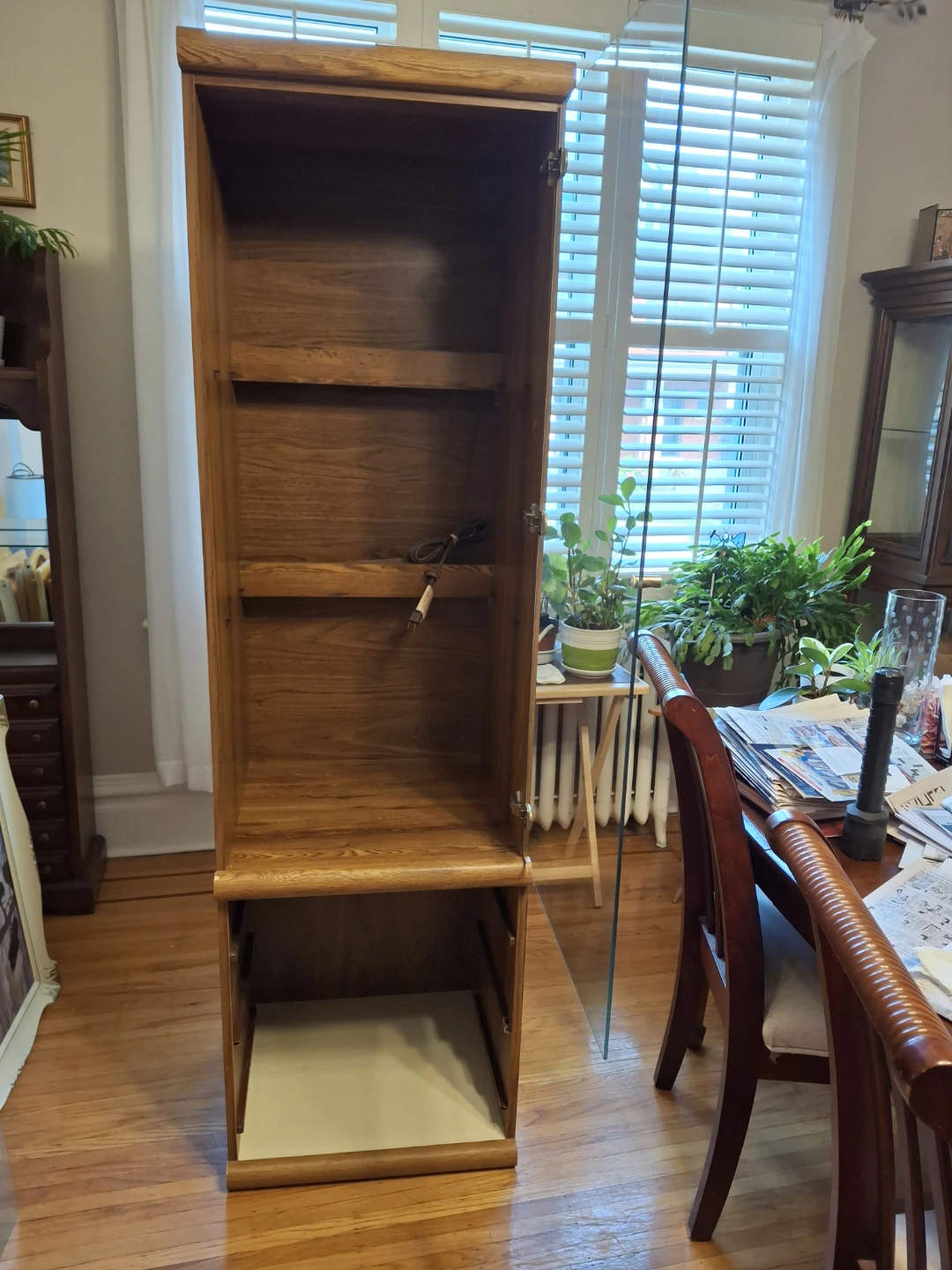 Wooden Display Cabinet with Glass Door and Light