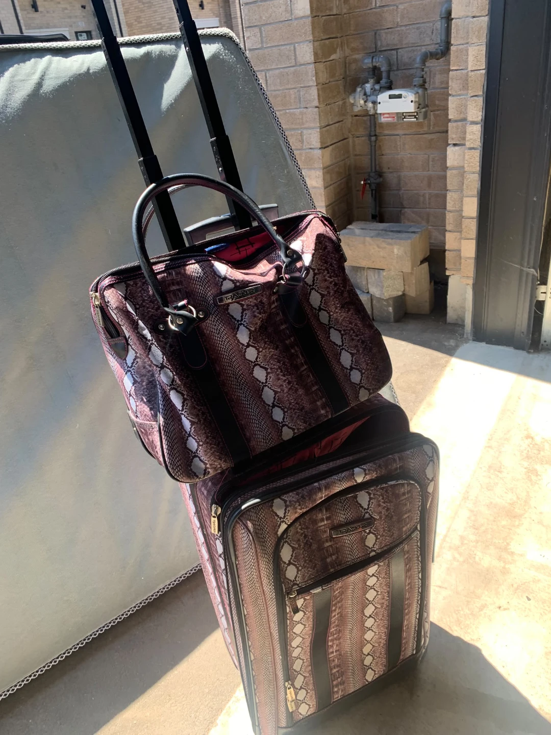 Chic Snake Print Luggage Set