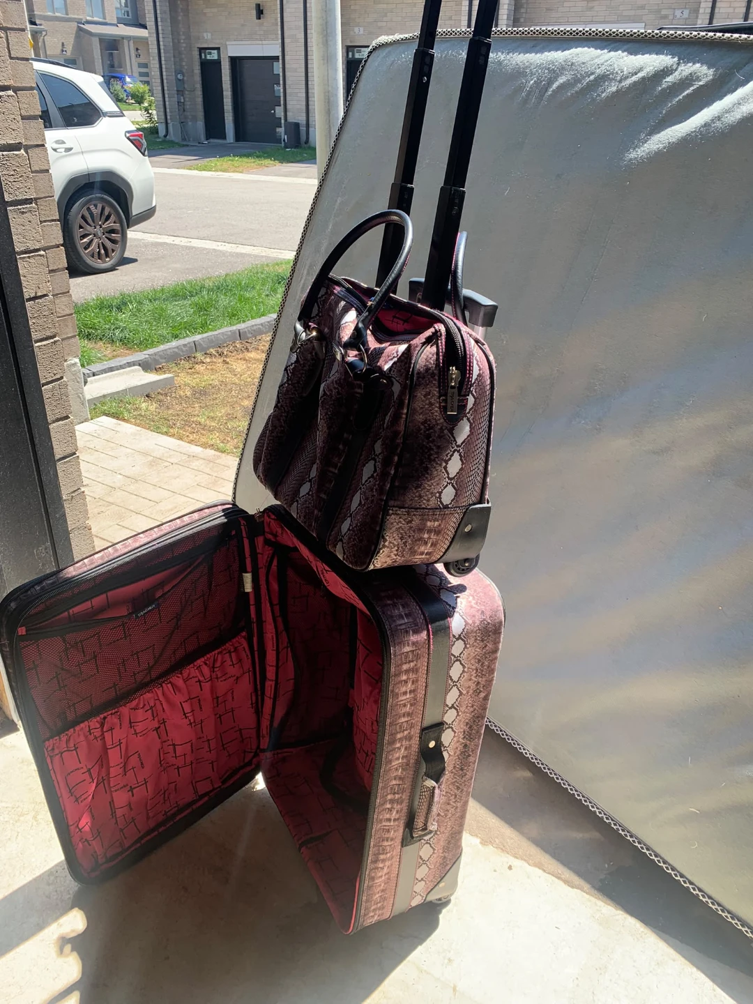 Chic Snake Print Luggage Set - photo 2